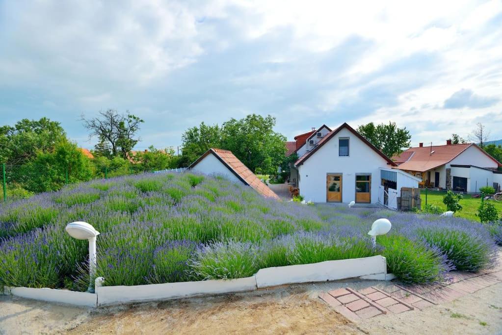 Levendula Vendégház Lovas Extérieur photo